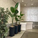 Les