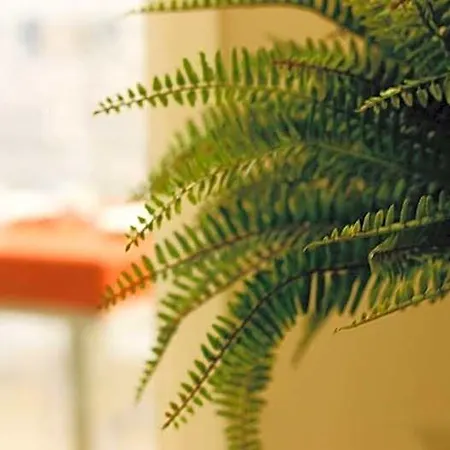 Les לינה וארוחת בוקר 4*